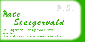 mate steigervald business card