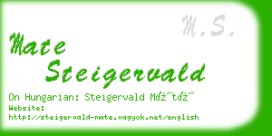 mate steigervald business card